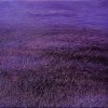 Das Purpur, 65x60 cm.2011